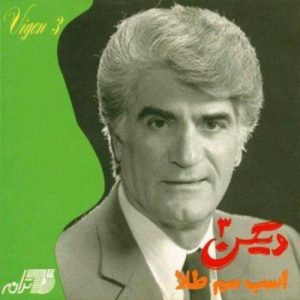 دانلود آهنگ شاد زن زیبا از ویگن