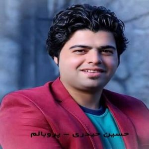 آهنگ سبزواری حسین حیدری پروبالم