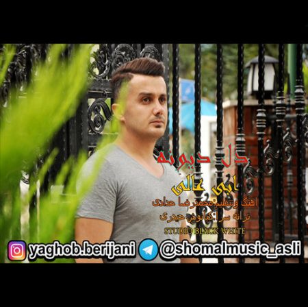 دانلود آهنگ دل دیونه از ابی عالی