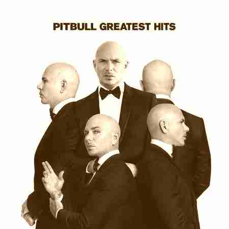دانلود آهنگ Give Me Everything از Pitbull