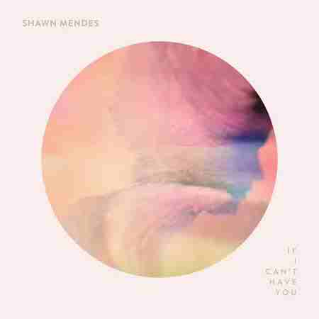 دانلود آهنگ Shawn Mendes بنام If I Can't Have You