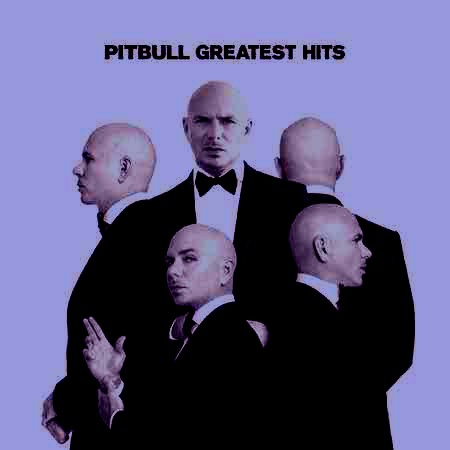 دانلود آهنگ Pitbull به نام International Love