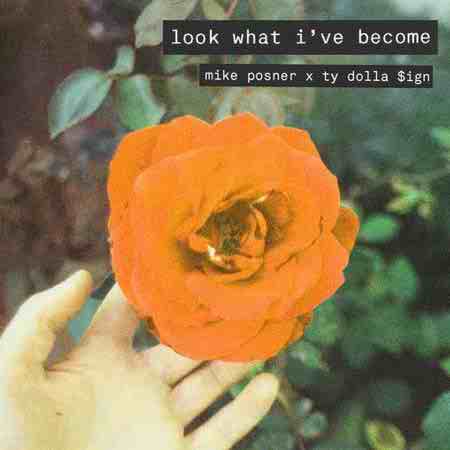 دانلود آهنگ Look What I've Become از Mike Posner
