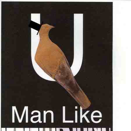 دانلود آهنگ Bon Iver بنام Man Like