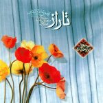 دانلود آهنگ مسعود بختیاری به نام شاباش