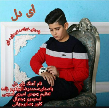 دانلود آهنگ محمدرضا ابراهیم زاده ای دل