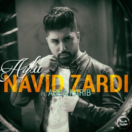 دانلود آهنگ نوید زردی به نام ایلا