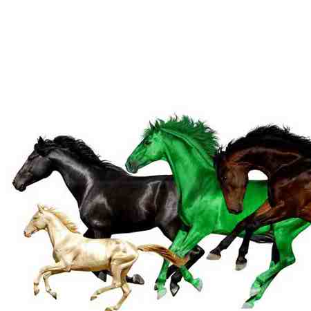 دانلود ریمیکس Old Town Road از Lil Nas X