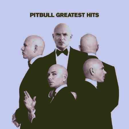 دانلود آهنگ Options از Pitbull