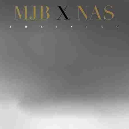 دانلود آهنگ Mary J. Blige بنام Thriving