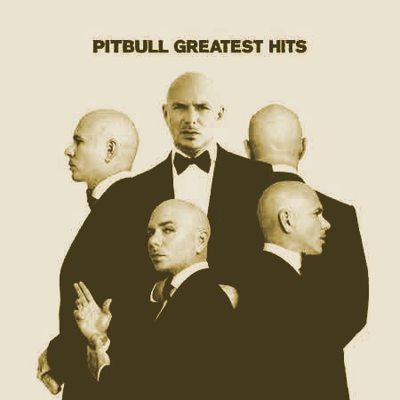 دانلود آهنگ Pitbull بنام Timber