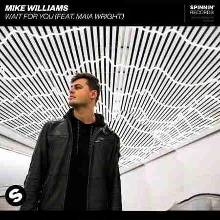 دانلود آهنگ Wait For You از Mike Williams