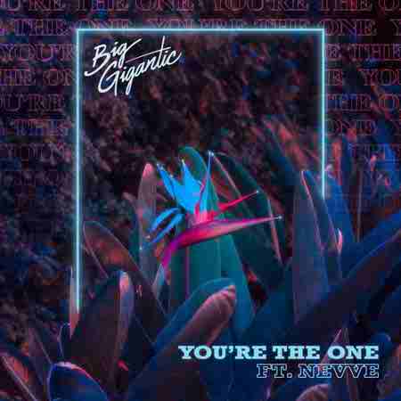 دانلود آهنگ You’re The One از Big Gigantic