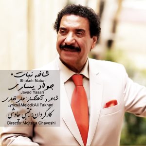 دانلود آهنگ شاخه نبات از جواد یساری