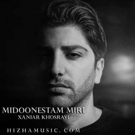 دانلود آهنگ زانیار خسروی به نام میدونستم میری