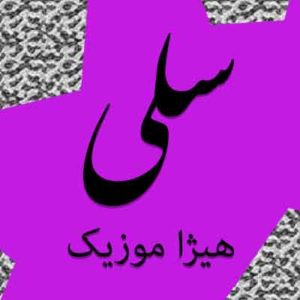 آهنگ سلی بنام بیایید