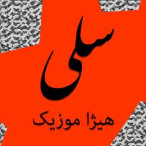 آهنگ سلی بنام مستان