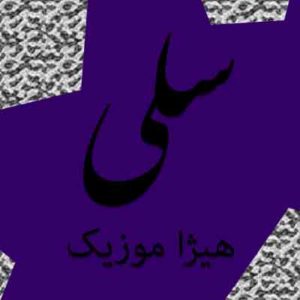 آهنگ سلی بنام نسیم یار