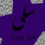دانلود آهنگ سلی بنام سرو ناز