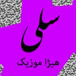 آهنگ سلی بنام در ستایش آمدن