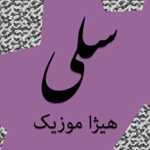آهنگ سلی بنام بشنو از نی
