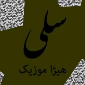 آهنگ سلی بنام بانوی شهر آواز
