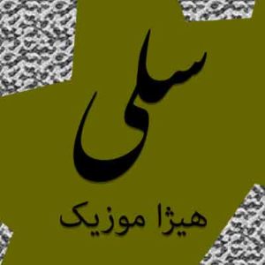 آهنگ سلی بنام حال که دیوانه شدم