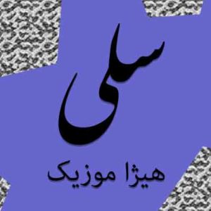 آهنگ سلی بنام حلقه عشاق
