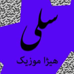آهنگ سلی بنام زخم خاری