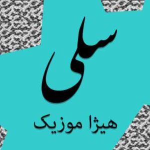آهنگ سلی بنام الا هو