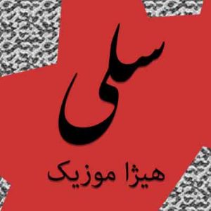 آهنگ سلی بنام اینجاست