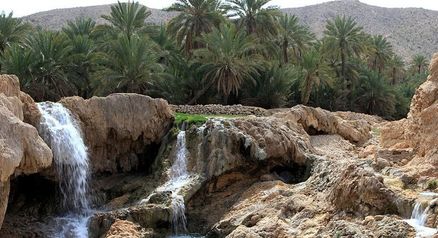دانلود آهنگ بستکی علی موسی زاده به نام دگنی