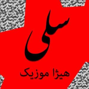 آهنگ سلی بنام نور
