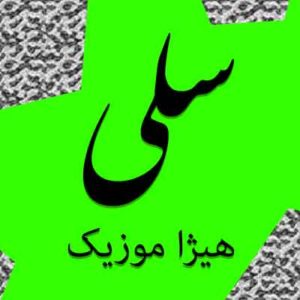 آهنگ سلی بنام آتش