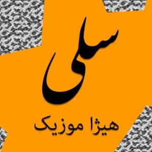 آهنگ سلی بنام سراغ من اگر می آیید