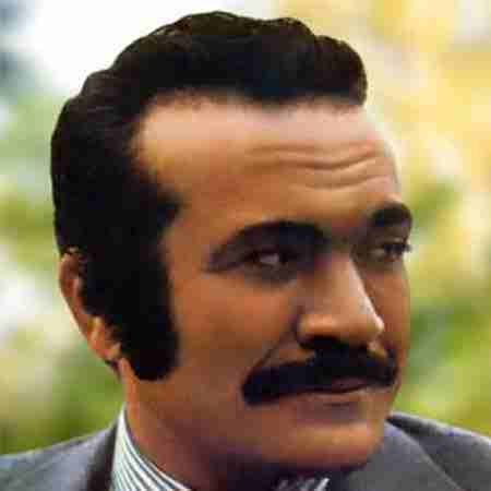 دانلود آهنگ افسوس از فریدون فرخزاد