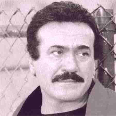 دانلود آهنگ مرغ غمگین از فریدون فرخزاد