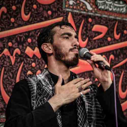 دانلود مداحی نوکری حسین از مهدی رسولی