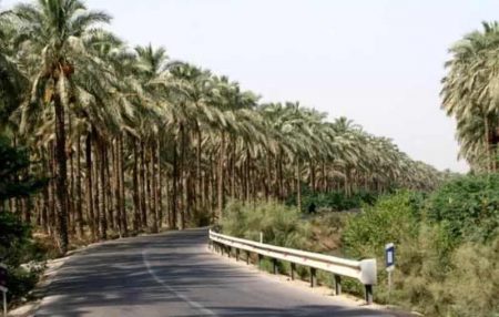 دانلود آهنگ بستکی علی موسی زاده به نام از اینجا تا به شیراز خیلی راهه