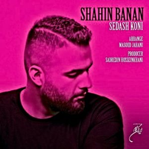 دانلود آهنگ شاهین بنان بنام صداش کنی