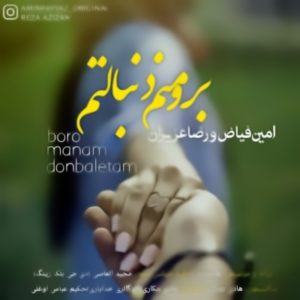 دانلود آهنگ امین فیاض و رضا عزیزان به نام برو منم دنبالتم