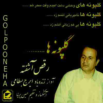 دانلود آهنگ ایرج بسطامی به نام چه دلها