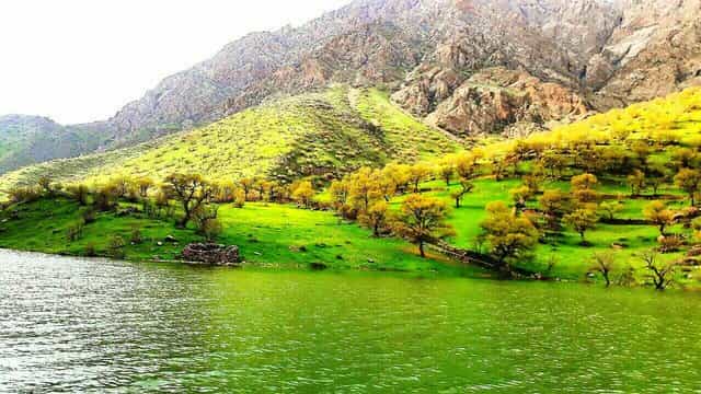 دانلود آهنگ لکی شهاب مرادیان به نام کیاو یار