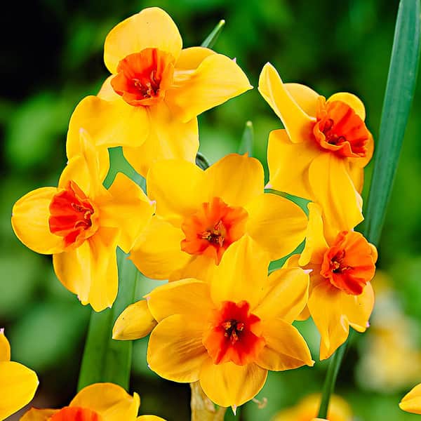 دانلود آهنگ لکی مهدی زارع به نام منه خر ای دته