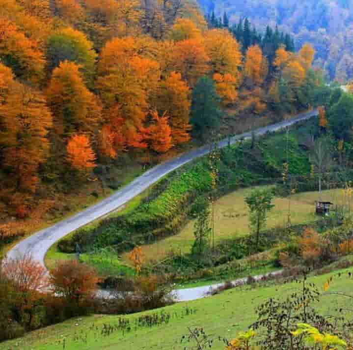 دانلود آهنگ مازندرانی وحید مرادی و معین محمدی به نام دلسوز