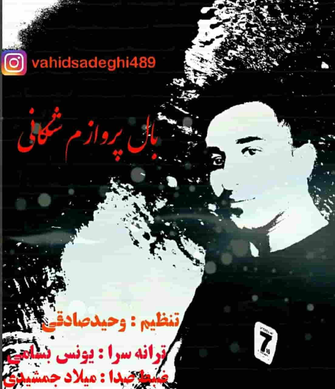 دانلود آهنگ کردی وحید صادقی به نام بال پروازم شکانی