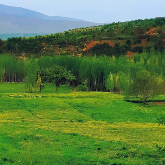 دانلود آهنگ بختیاری حامد دوستی به نام بنه دنیا