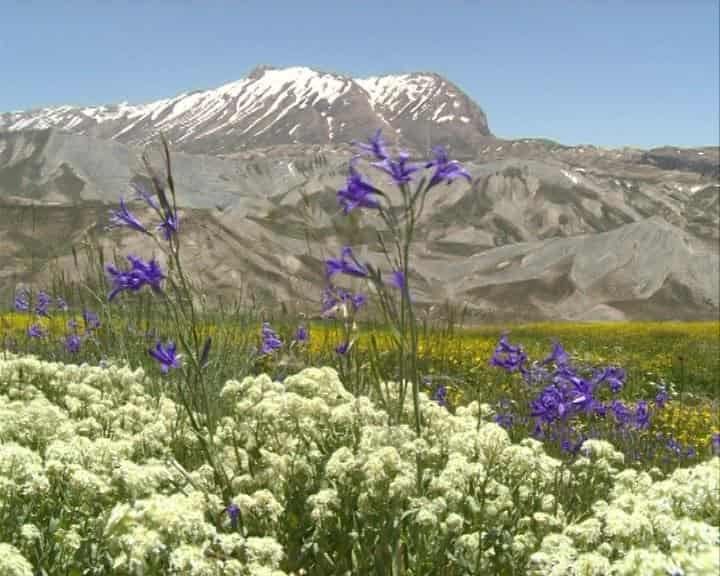 دانلود آهنگ بختیاری رحیم حسینی به نام دوور خاله