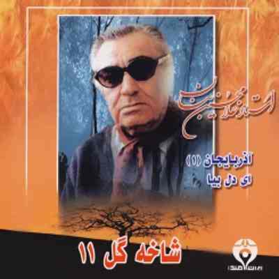 دانلود آلبوم بنان به نام شاخه گل یازدهم