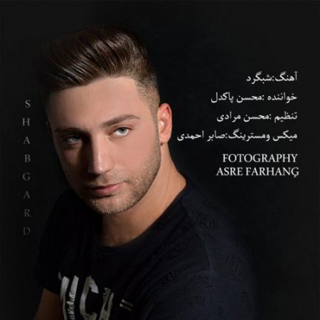 دانلود آهنگ کردی محسن پاکدل به نام شبگرد